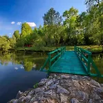 公寓 In Slivnica With Private Pool